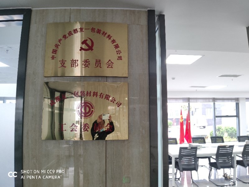热烈祝贺XPJ官方网站集团成都分公司党支部在2020年3月11日授牌成立，支部书记曹云(行政部经理)